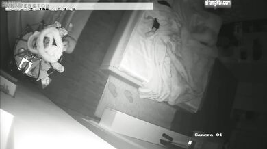 最新流出黑客❤️破解摄像头偷拍家庭各种夫妻啪啪啪12 (3)